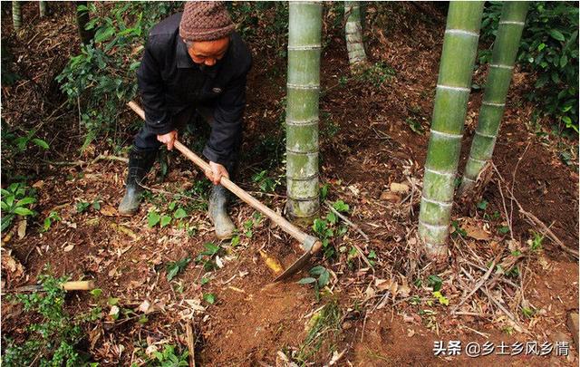 舌尖上的中国美食2012年广告文案