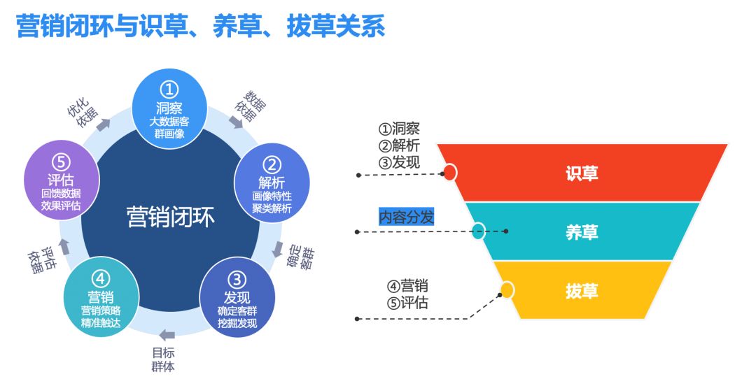 电商常用毛笔字体_电商常用排版字体_电商价格常用数字字体