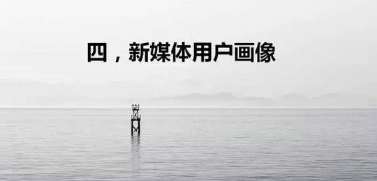 115 一份价值1万的微信策划方案丨新媒体用户画像和运营策略制定