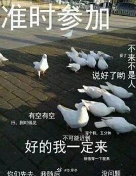 花千骨新闻发布会策划书_花千骨与花千骨2015_花千骨游戏花千骨图片