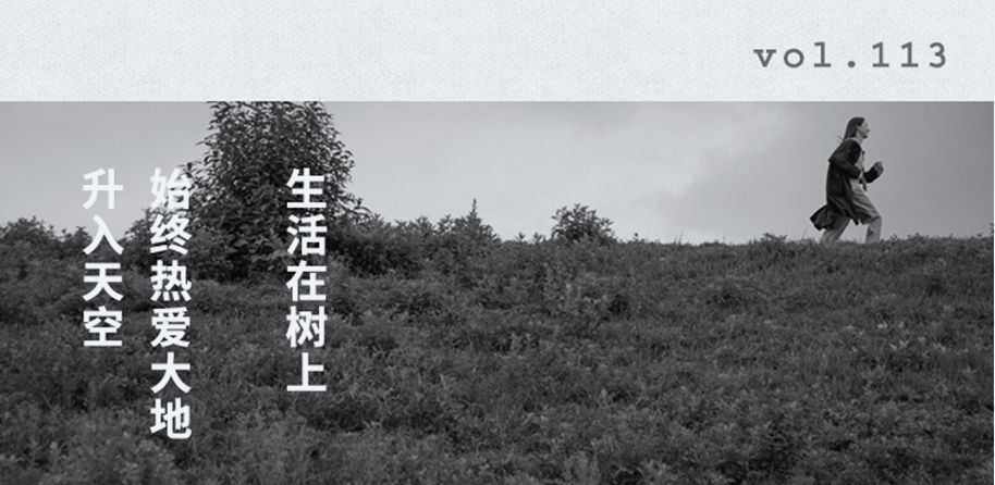 841d4759b26b24fa3b6a4225a486106a - 通过淘宝第一文案「步履不停」我们可以学到什么