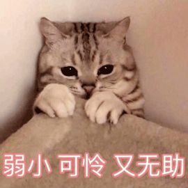 52496866b08fed6e1992a8e226f061e9 - 好文案，懂对比——对比文案合集