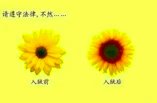 1632722741093 - 好文案，是人性的矿工