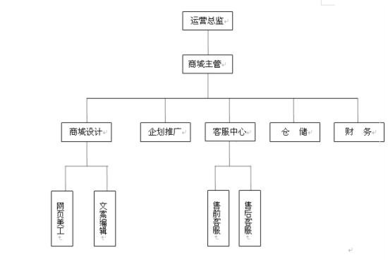 tianmaojihuashu 干货：史上最全最细天猫店运营计划书