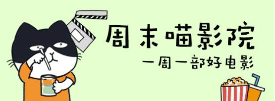 337 10个月坐拥30万粉丝，垂直号其实很吃香