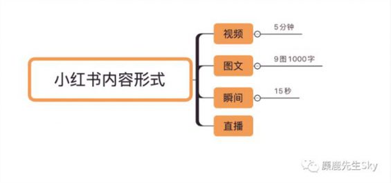 140 小红书平台新趋势|最全视频笔记解析指南