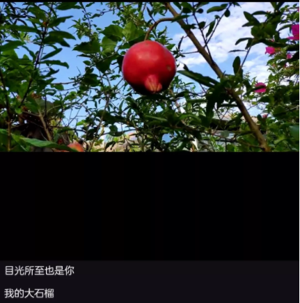 1 359 月入过万的微商，都是这么做情感营销的