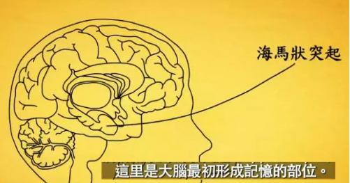 毕业论文排版图文教程 引人入胜的好开头，都用了这8个小技巧