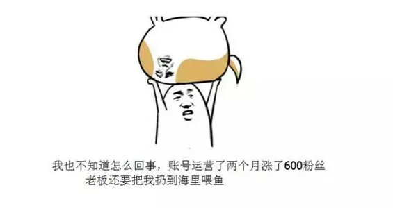 9.webp 20 给你说个神话：我是做新媒体的