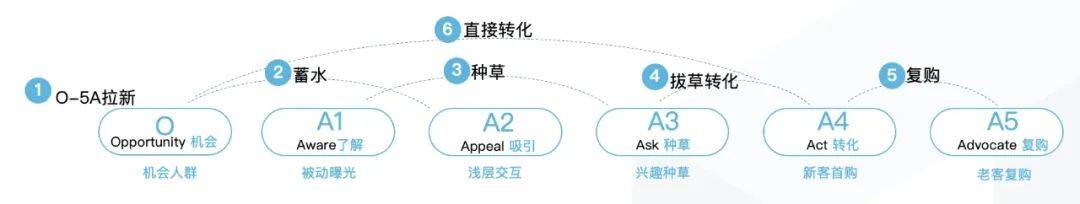 品类策略实施步骤_什么是品类策略_品类策略实施步骤