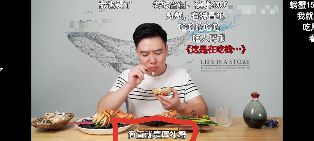 归化异化翻译策略定义_异化的翻译策略_策略 翻译