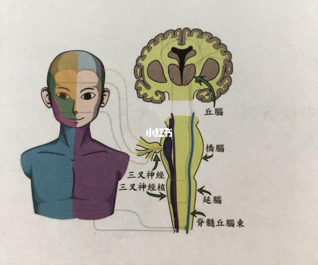 苏宁易购易购券密码_苏宁易购营销方法_苏宁易购的营销特色</body></html>