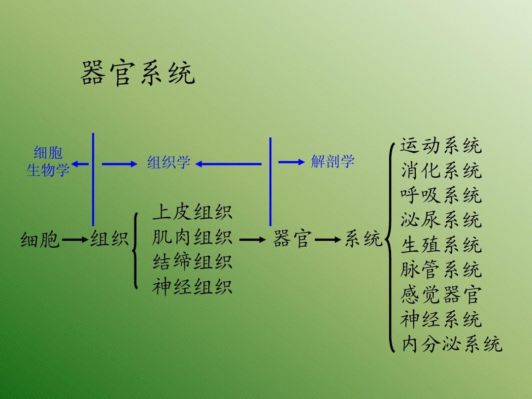 电视节目策划的要素_电视节目策划要素_节目电视要素策划包括