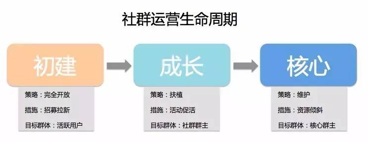  详细讲述猫眼电影UGC的做法，包括分析思路、运营策略和具体措施