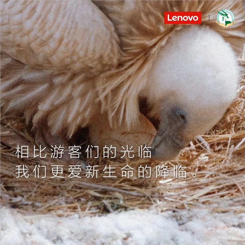 最近喜欢的6个案例